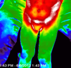 Thermal Images After SWC - Child with Autism